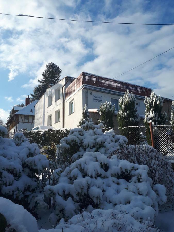 Pokoj Kameralny- De Luxe Z Oddzielnym Wejsciem Karpacz Dış mekan fotoğraf