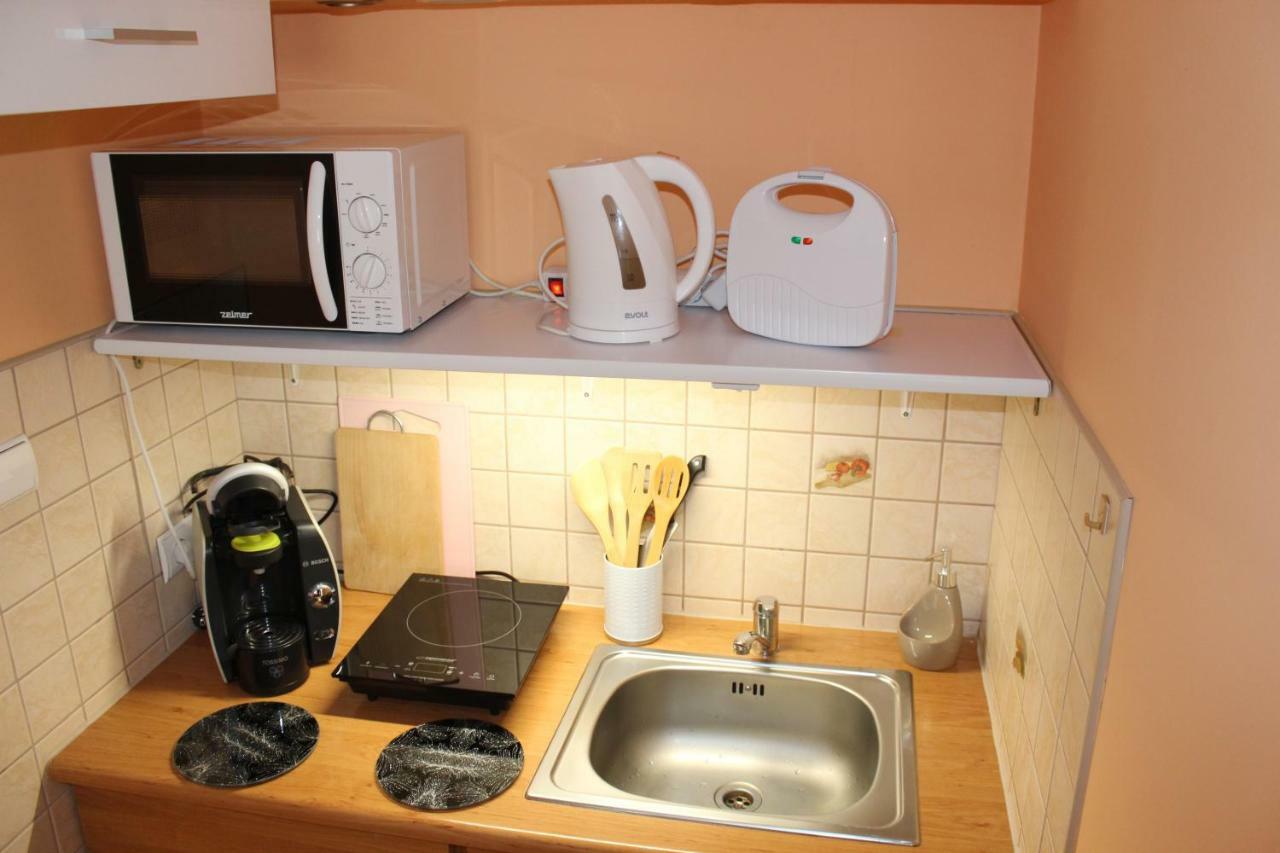 Pokoj Kameralny- De Luxe Z Oddzielnym Wejsciem Karpacz Dış mekan fotoğraf
